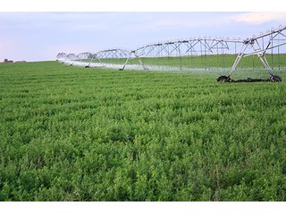 Property photo 115 - LAND AUCTION, 3255+/- Acres offered in 13 Tracts